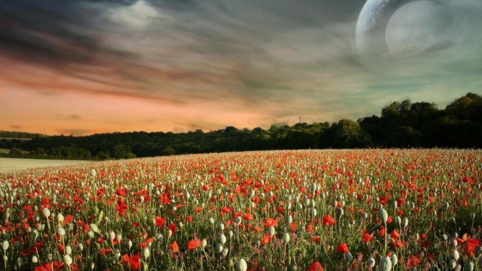 苹果杀疯了：iPhone大卖，AI变阵_设备_同比增长_业务